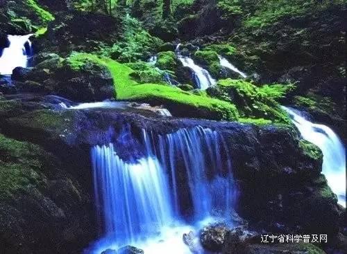 美媒:白宫正讨论推迟向以色列交付武器 迫使以军缩减在加沙军事行动规模